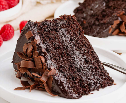 Buy RRBF8 – GLUTEN FREE CHOCOLATE CAKE MIX (1LB BAG) on Rock Run Bulk Foods